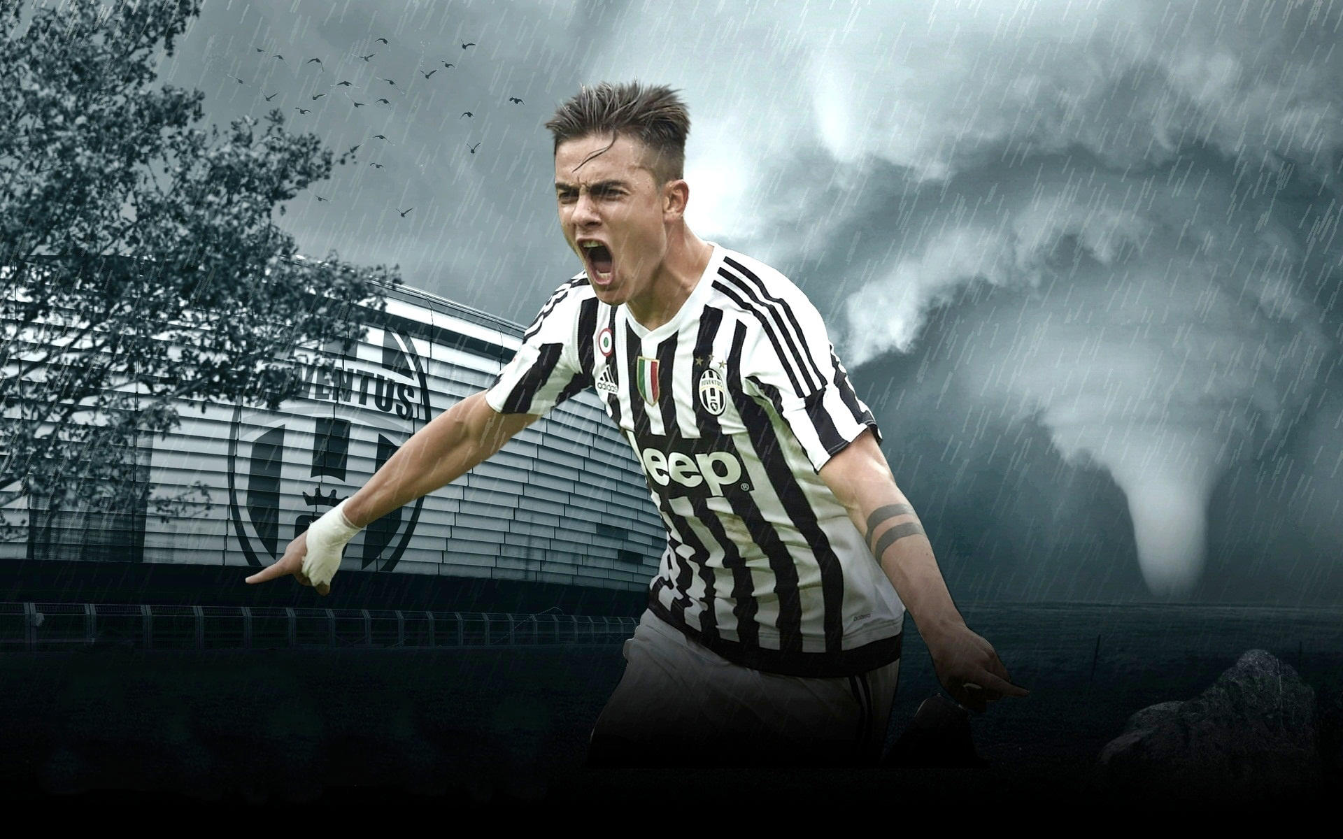 这波操作真是离谱又好看